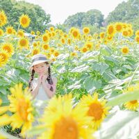 画像1380：ポートフォリオ